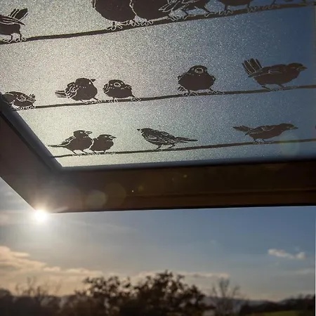 Apartman An Den Grundwiesen Jéna