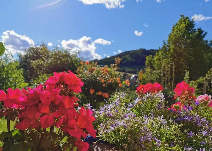 An Den Grundwiesen * Jena